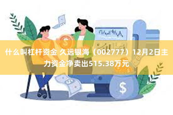 什么叫杠杆资金 久远银海（002777）12月2日主力资金净卖出515.38万元