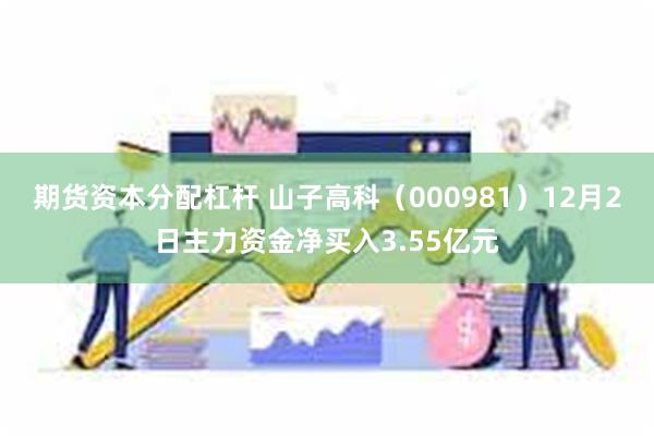 期货资本分配杠杆 山子高科（000981）12月2日主力资金净买入3.55亿元