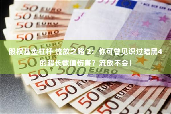 股权基金杠杆 流放之路 2：你可曾见识过暗黑4的超长数值伤害？流放不会！