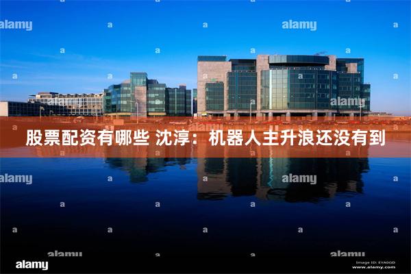 股票配资有哪些 沈淳:机器人主升浪还没有到