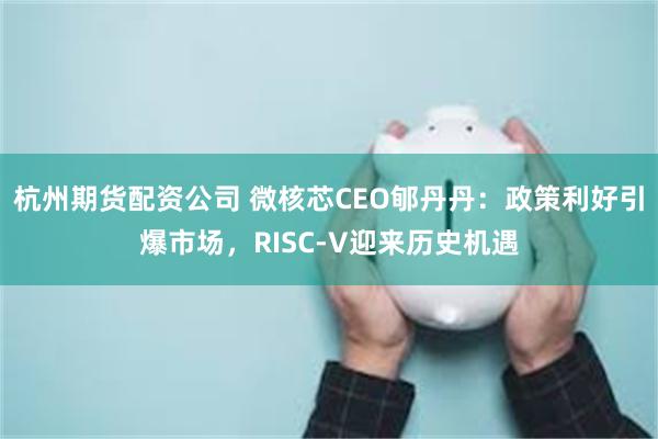 杭州期货配资公司 微核芯CEO郇丹丹：政策利好引爆市场，RISC-V迎来历史机遇