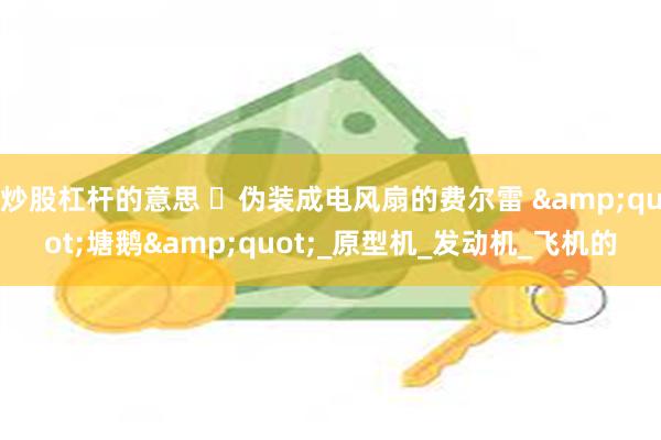 炒股杠杆的意思 ‌伪装成电风扇的费尔雷 &quot;塘鹅&quot;_原型机_发动机_飞机的