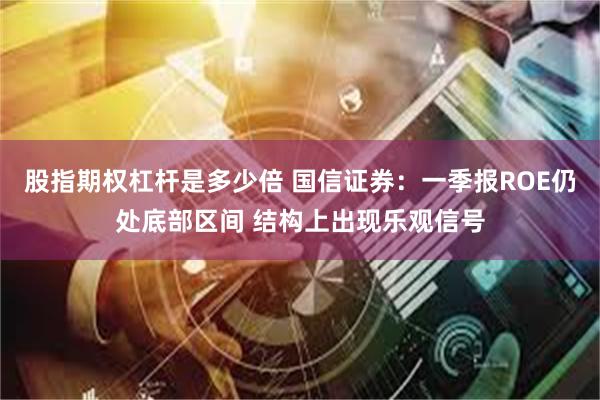股指期权杠杆是多少倍 国信证券：一季报ROE仍处底部区间 结构上出现乐观信号
