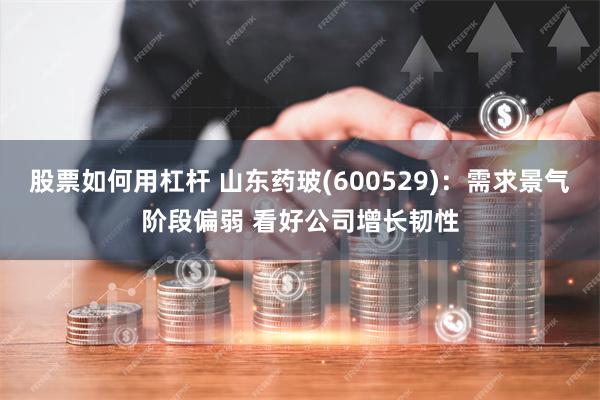 股票如何用杠杆 山东药玻(600529)：需求景气阶段偏弱 看好公司增长韧性